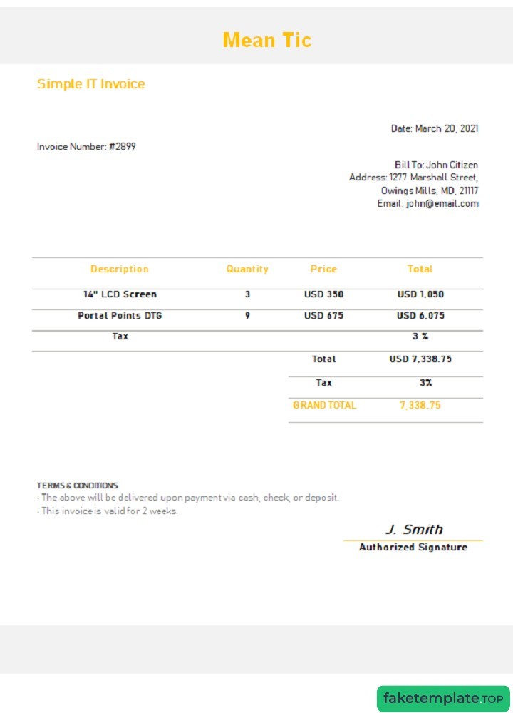 Feature of fake USA Mean Tic invoice example